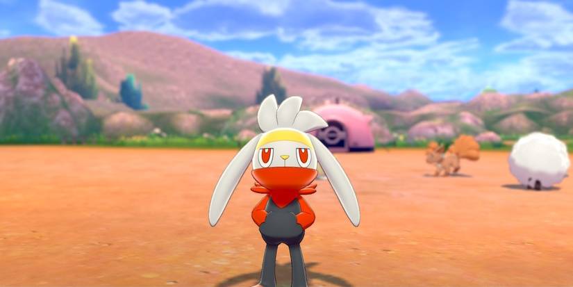 Scorbunny Raboot All Pokemon Sword and Shield Starter Evolutions