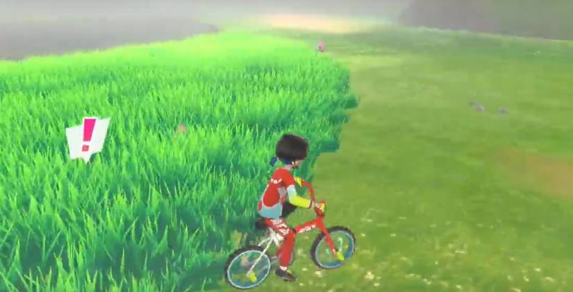 pokemon sword and shield mimikyu in the giant's mirror