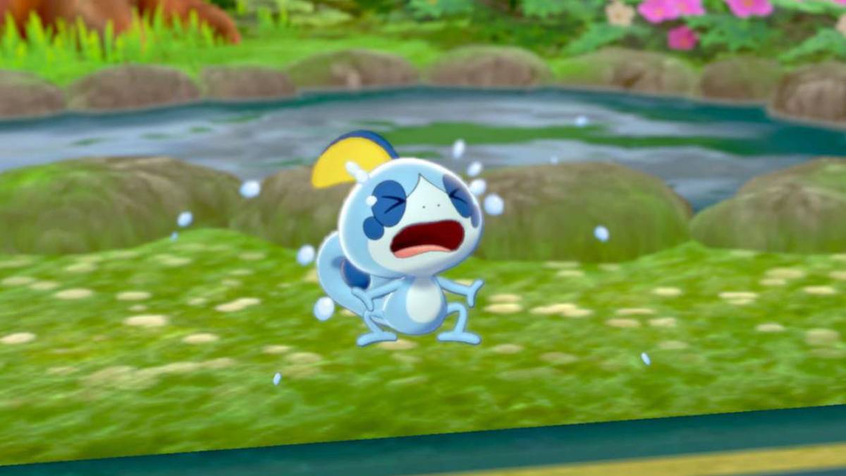 pokemon sword and shield no shiny starters