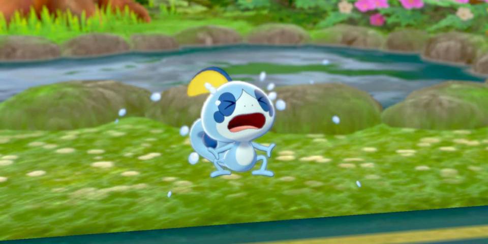 Pokemon Sword And Shield Starter Pokemon Can T Be Shiny Pokemon Sword And Shield Starter Pokemon Can T Be Shiny