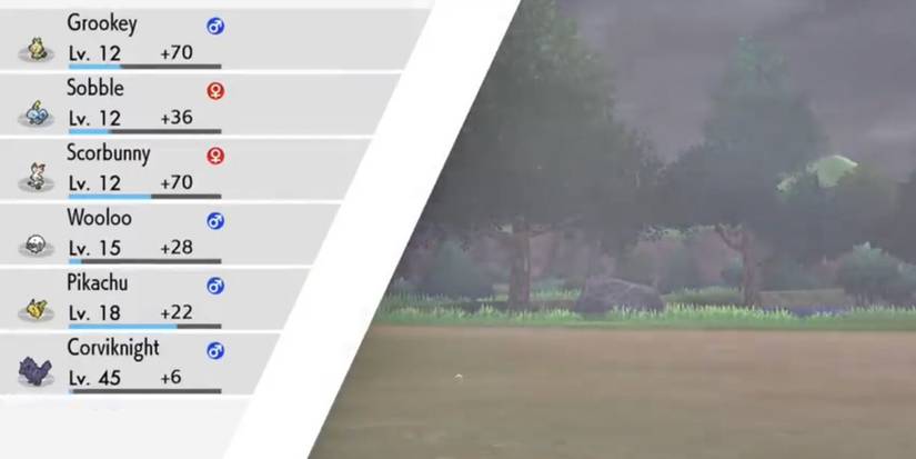 sword shield level up