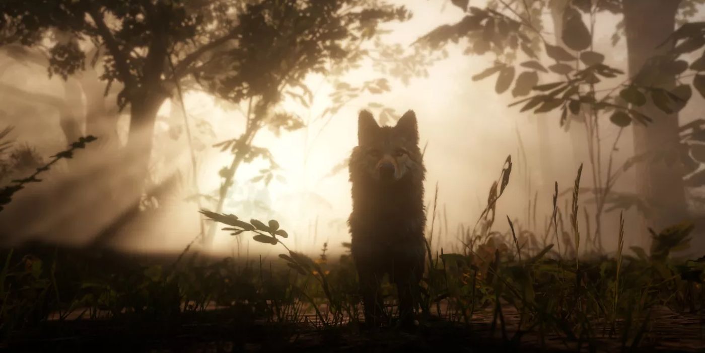 rdr2 wolf