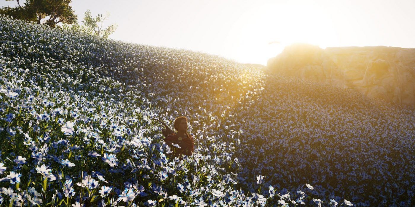 image of Kassandra sitting in Erymanthos Peaks flower field in Assassin's Creed Odyssey