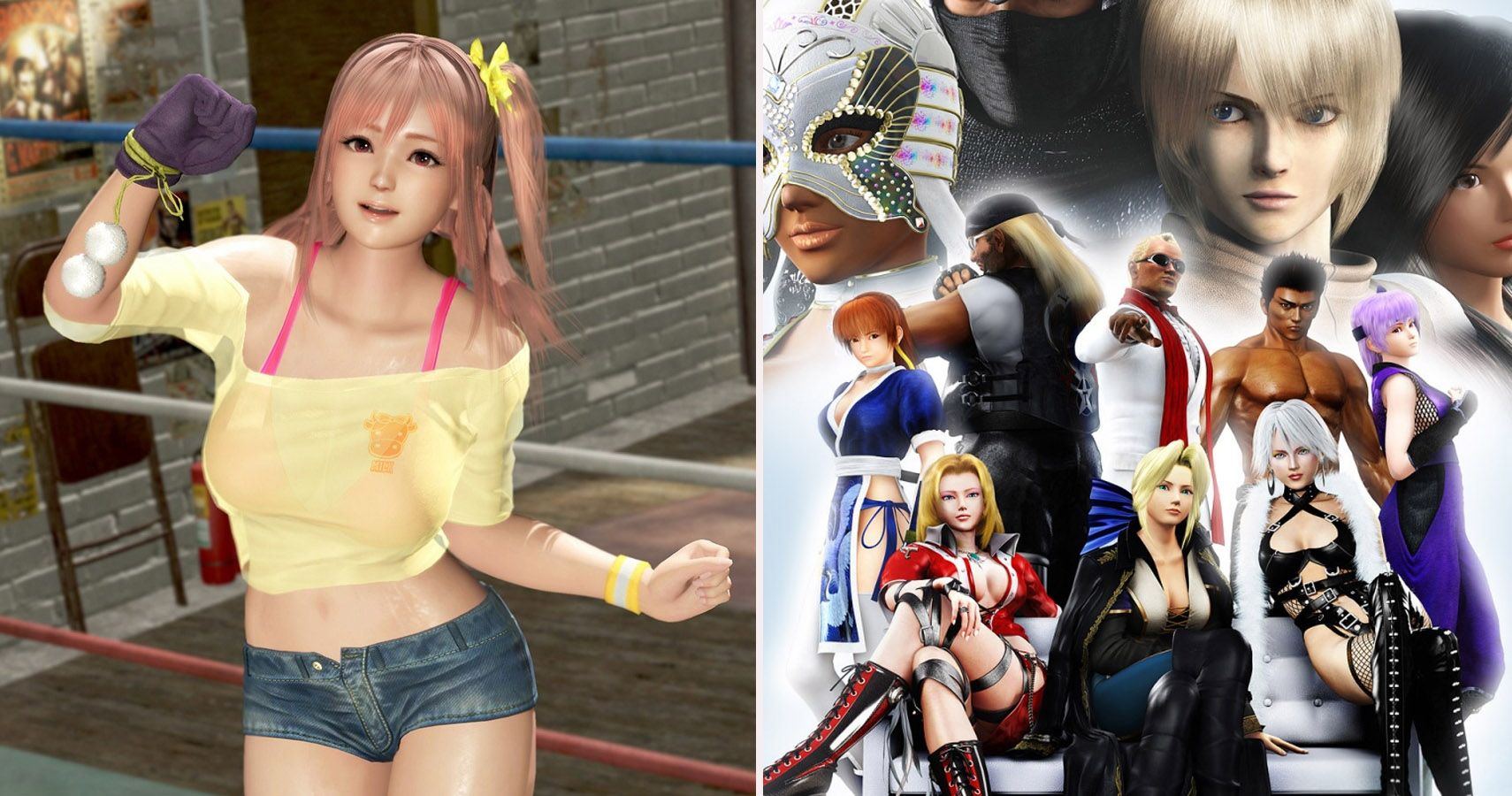 Top 10 Dead or Alive Characters