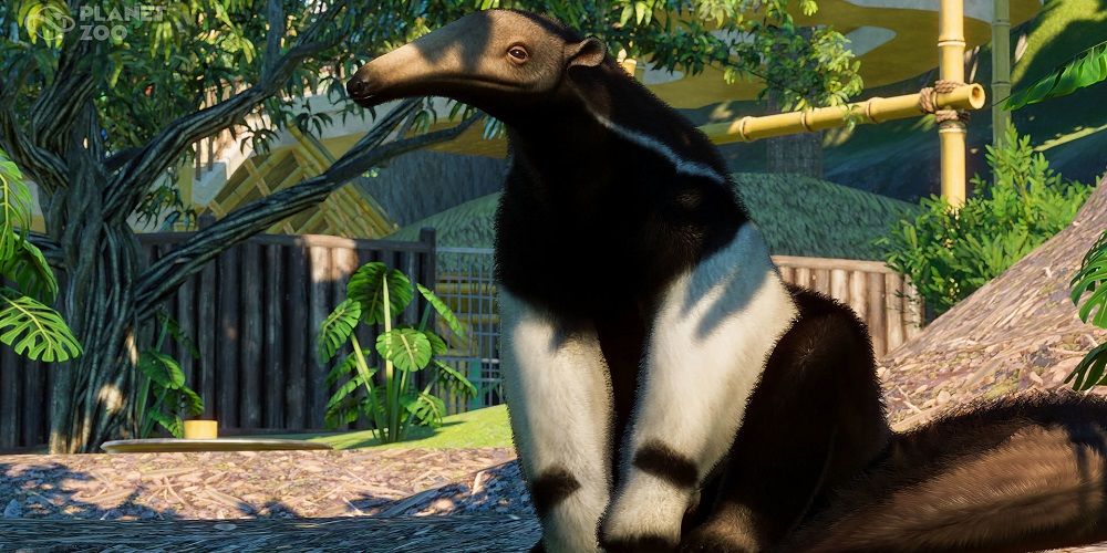 Giant Anteater Planet Zoo