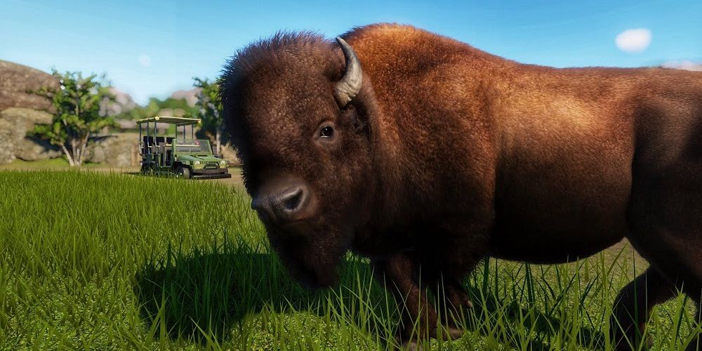 Planet Zoo American Bison
