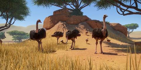 Planet Zoo Ostrich