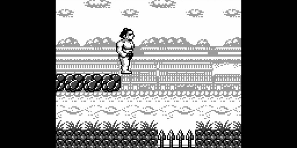 Sumo Fighter GameBoy