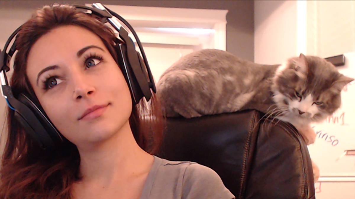 alinity twitch cat dog