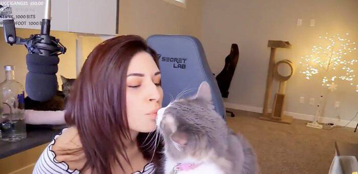 5 Times Alinity Made Twitch Worry About Her Cats and Dogs