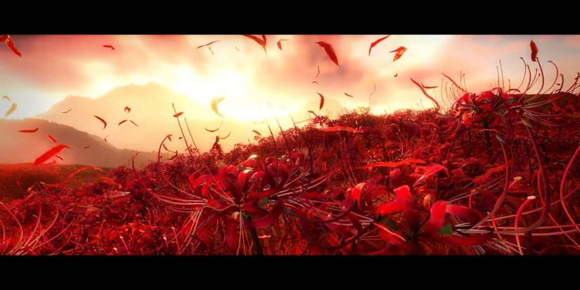 naraka bladepoint woman in shawl in a field of flowers