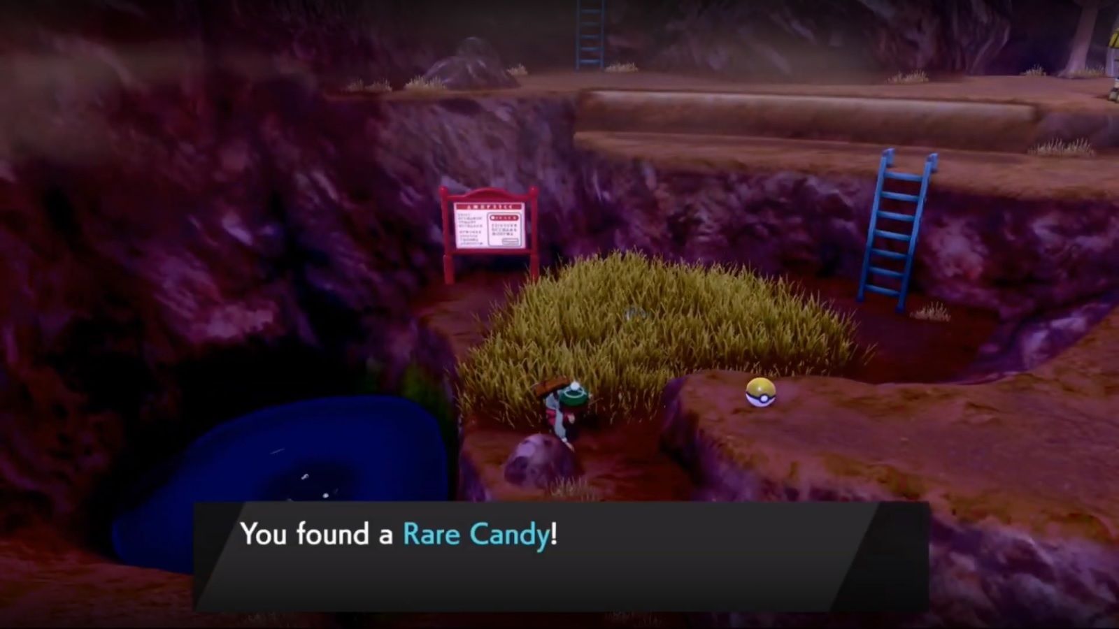 pokemon sword and shield rare candy at route 6 near TM30
