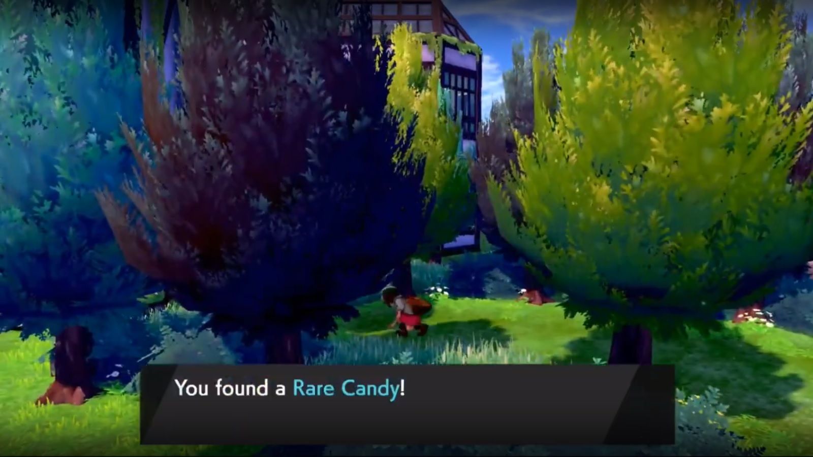 pokemon sword and shield rare candy at wedgehurst lab