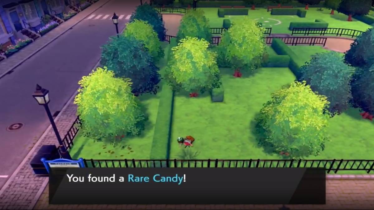 pokemon sword and shield wyndon rare candy in the park
