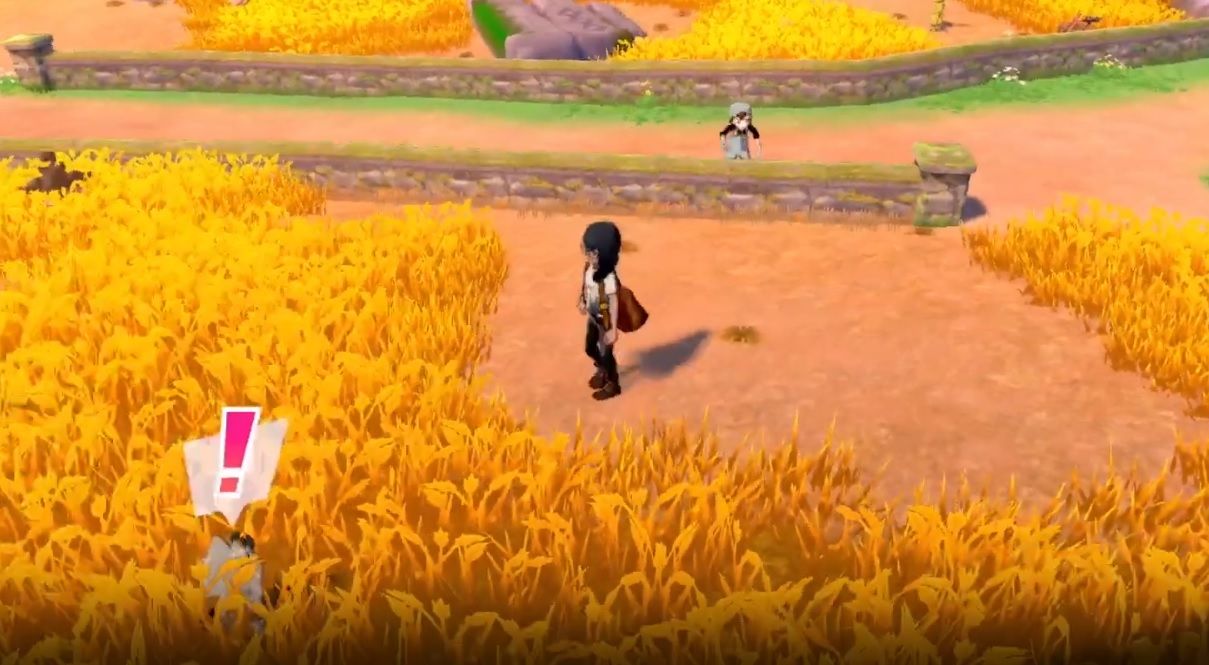 pokemon sword and shield route 4 overworld meowth spawn