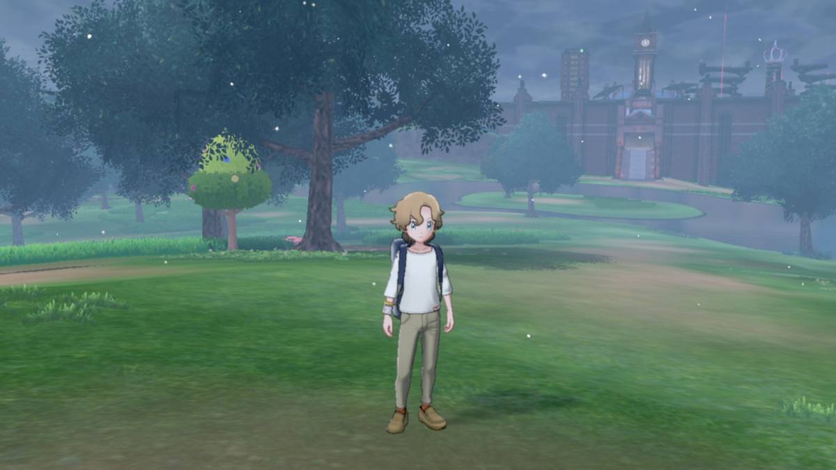 pokemon sword shield wild area snowing december 1