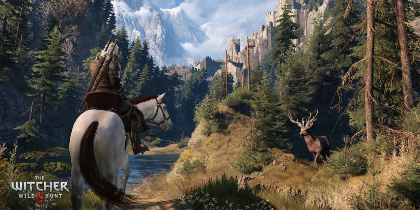 the witcher 3 screenshot