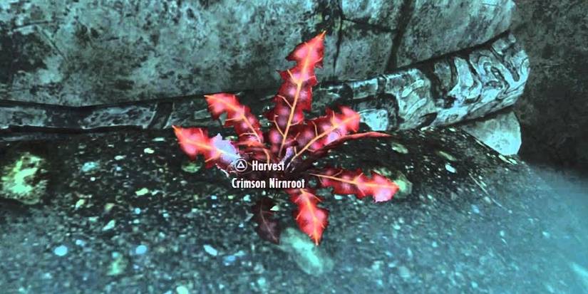 Elder Scrolls V Skyrim Annoying Quest A Return To Your Roots