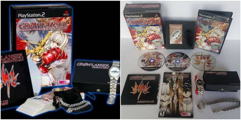 Growlanser Generations was Working Designs last ever publication