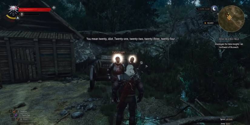 Hidden Details In The Witcher 3 Hearts of Stone Counting With Guards