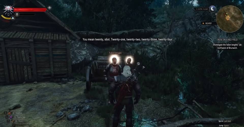 The Witcher 3 10 Things Most People Miss During Hearts Of Stone