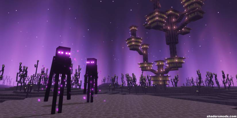 Minecraft Complementary Shaders End City View