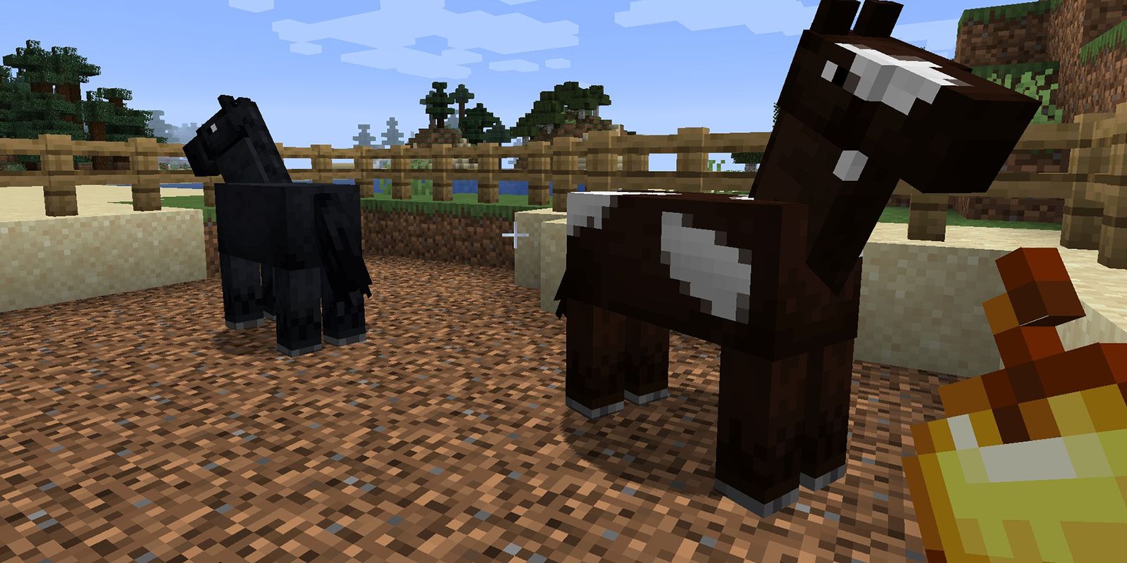Minecraft Feed Horse