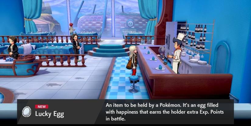 Pokemon Sword and Shield The Side Quest Champion Food Delivery