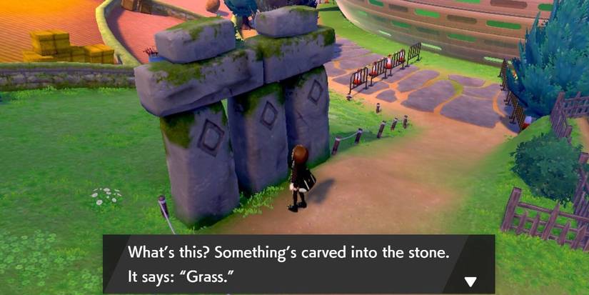 Pokemon Sword and Shield The Side Quest Stones of Turffield