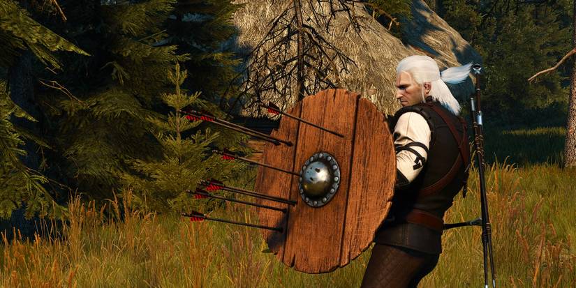 Witcher 3 Shields