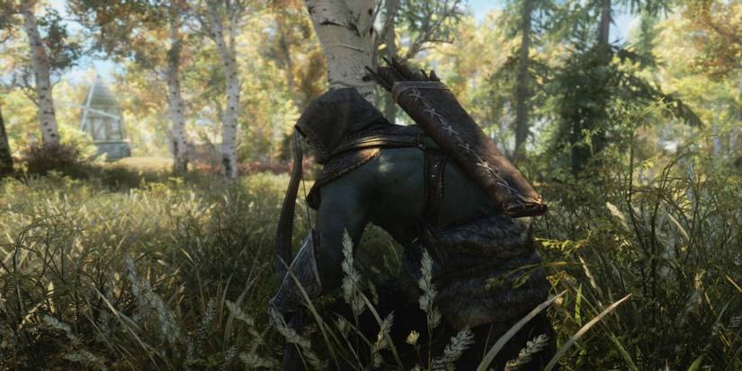 Sneaking in Skyrim