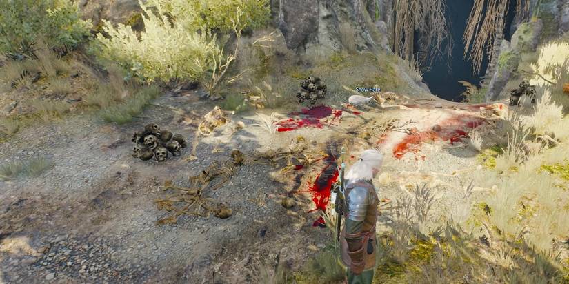 The Witcher 3: Wild Hunt-
