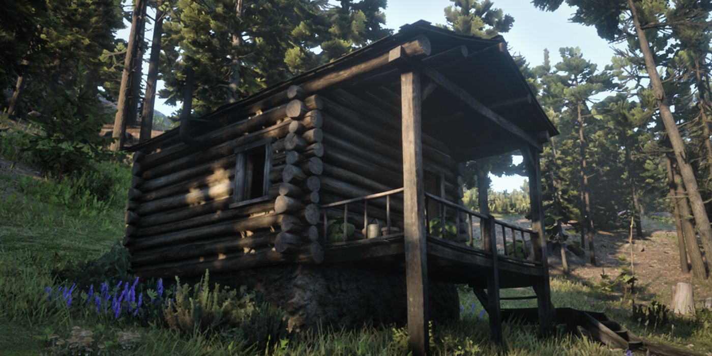 Vetter's Echo Cabin in Red Dead Redemption 2