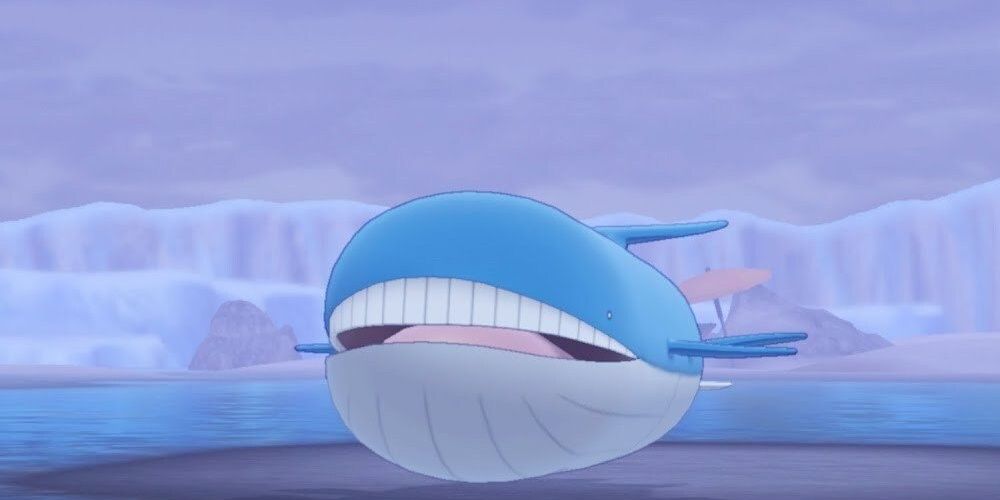 Wailord Pokemon