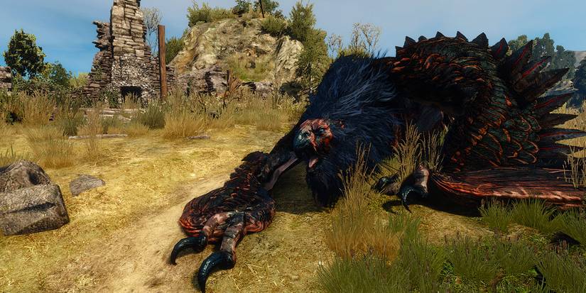 Witcher 3 A Surprise Inheritance