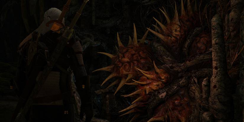 Witcher 3 Whispering Hillock