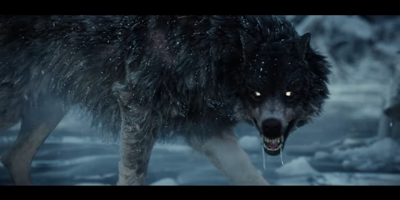 wolf stalking