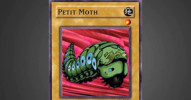 Yugioh! Petit Moth