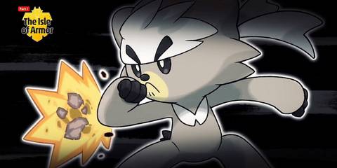 pokemon sword and shield kubfu