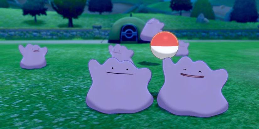 pokemon sword shield ditto group