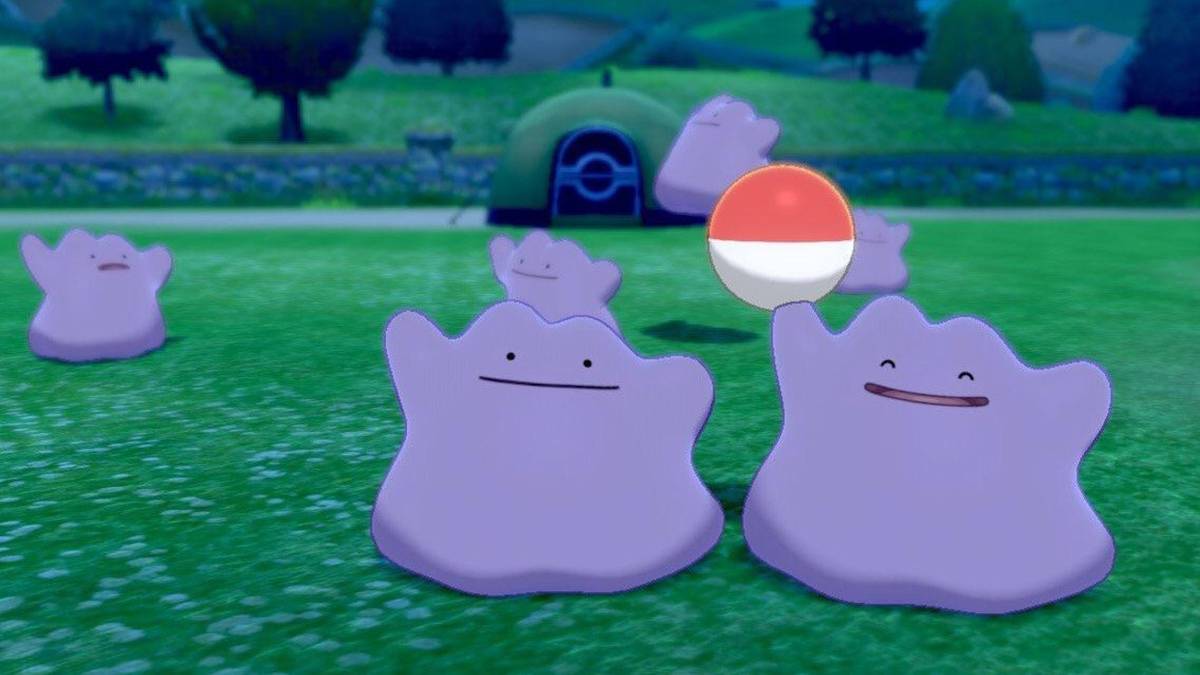 pokemon sword shield ditto group