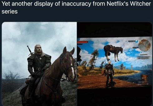 witcher roach