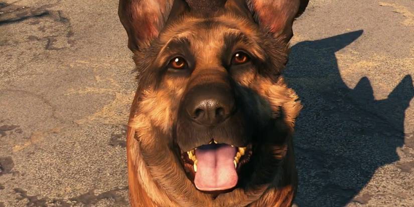 0835f986027f14fc4a68e283d54cbc50