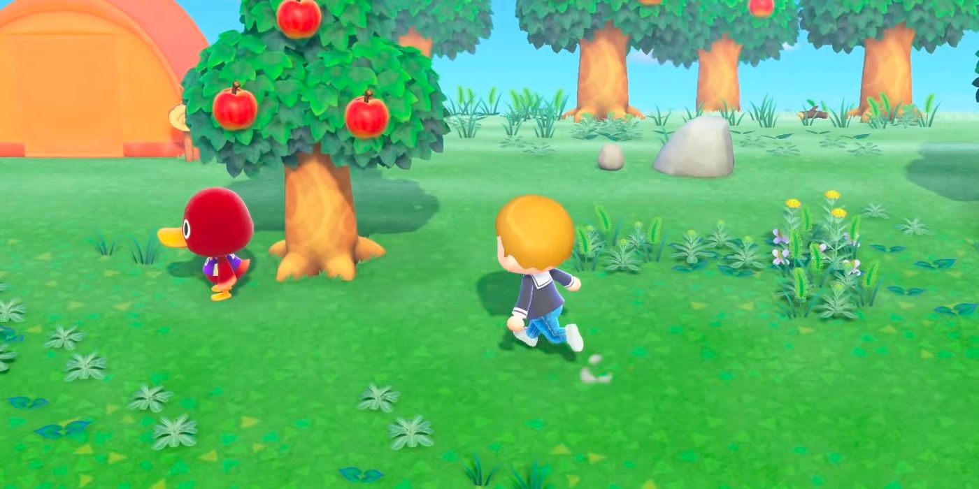 Animal Crossing: New Horizons gameplay - player with duck