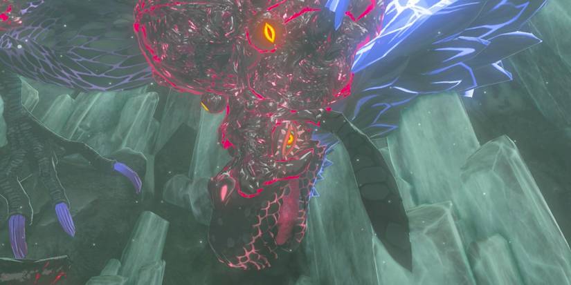 Dragon Naydra Zelda BOTW