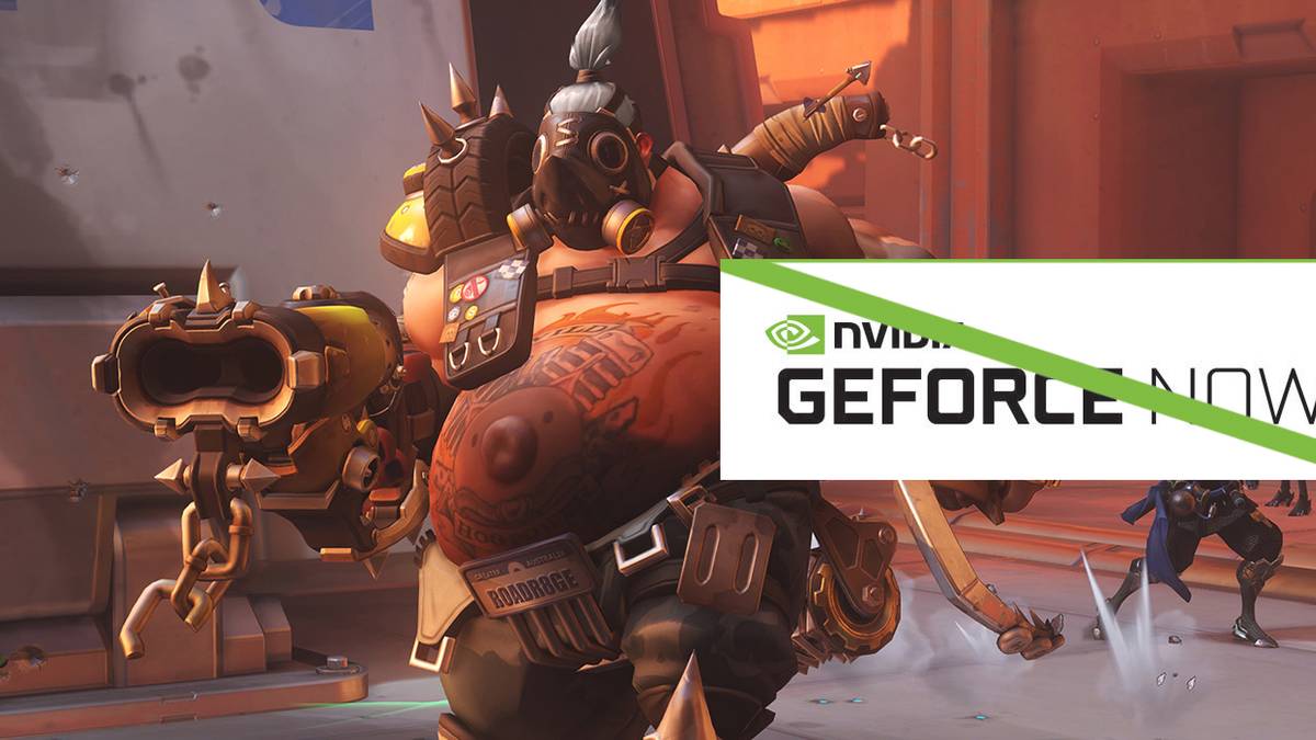 Activision Blizzard Overwatch's Roadhog