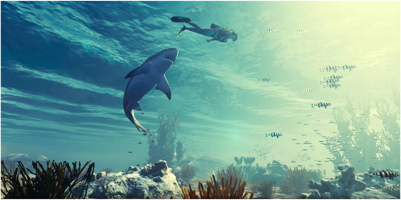 The Skark about a claim a victim in deep waters