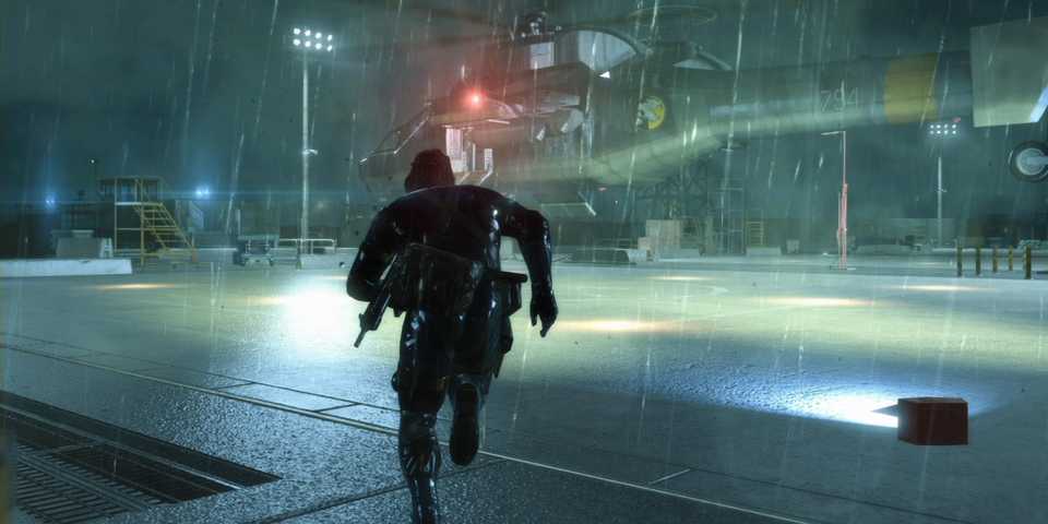 Snake running in the rain