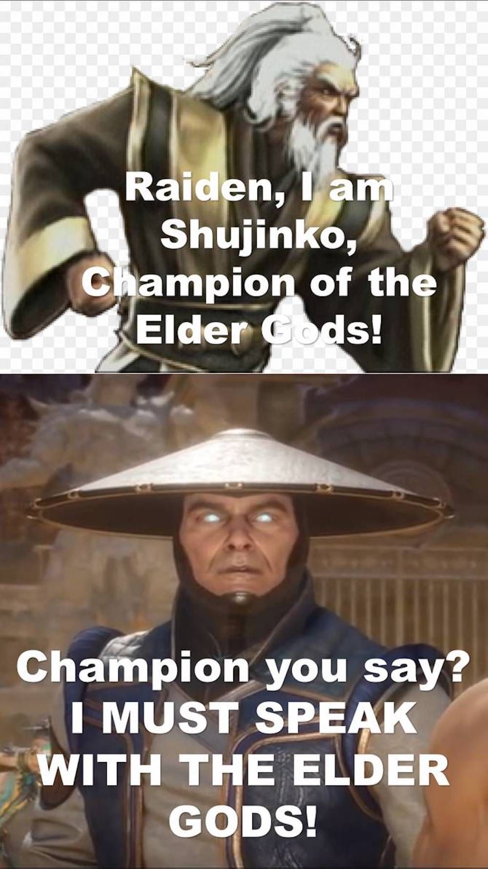 Mortal Kombat Shujinko Raiden Meme