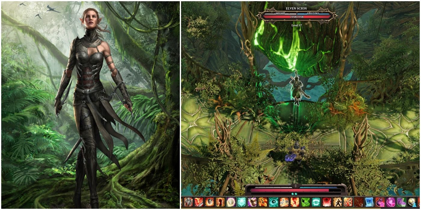 image of Sebille and the Mother Tree in Divinity: Original Sin II